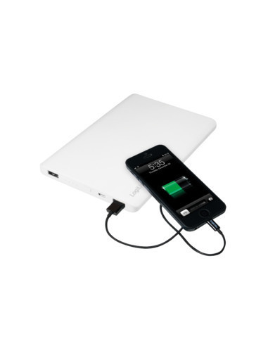 12.000 mAh, 2x USB ports