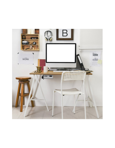Multifunctional Thin Client mount