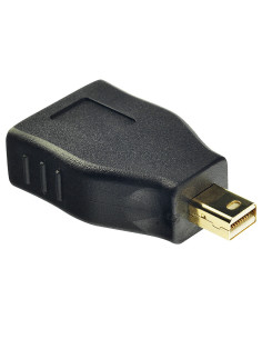 Adattatore Mini Display Port - Display Port