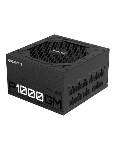 1000W P1000GM Modulare 80+ Gold
