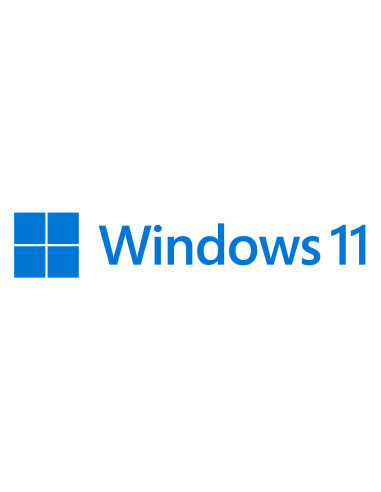 Windows 11 Pro 64 bit IT DVD