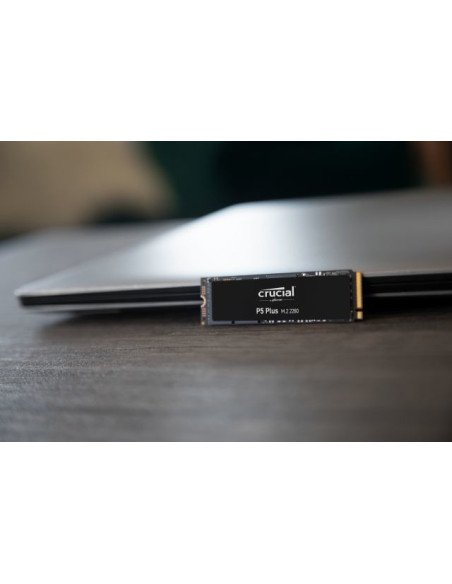 500GB P5 Plus PCIe 4.0 NVMe