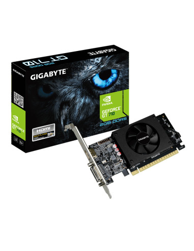 2GB GeForce GT 710 DVI-I HDMI Low-Profile