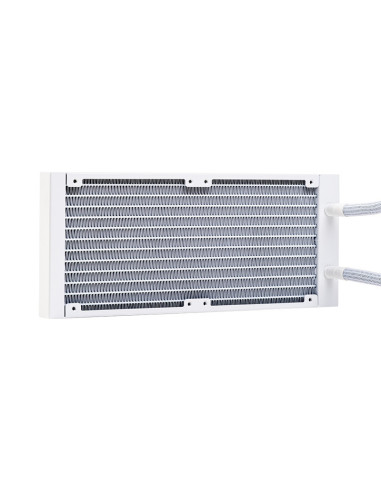 EVOLIQ 240 ARGB White Edition