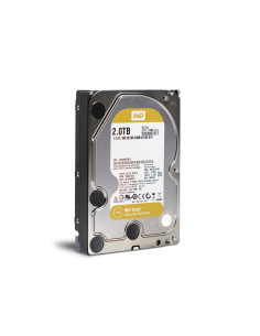 2TB WD Gold 7200 Giri/min 2