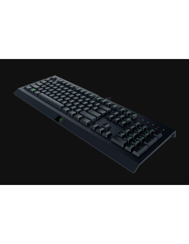 Cynosa Lite RGB Chroma, Tasti Programmabili, Membrane Lite,