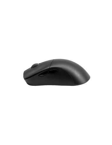 MM731 mouse Right-hand Bluetooth + USB Type-A Optical