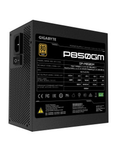 850W P850GM 80 PLUS Gold Fully modular 2