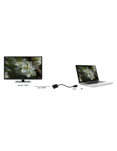 Adattatore Display Port M - HDMI F