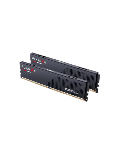 32GB (2x16GB) Flare X5 6,0GHz EXPO CL36