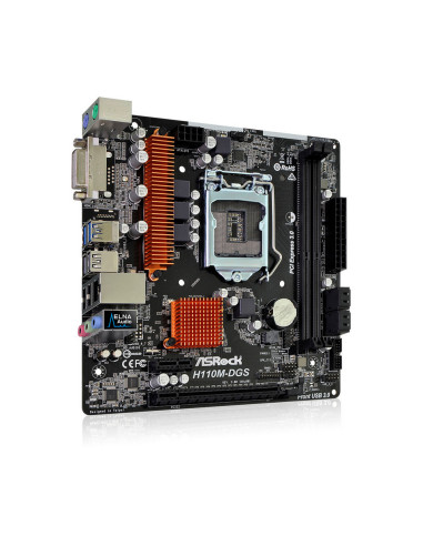 H110M-DGS