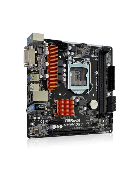 H110M-DGS