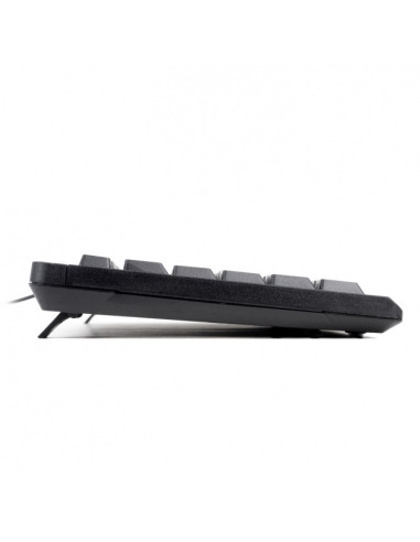 Tastiera USB 2.0 con filo, Full-size (100%), USB, QWERTY, Nero