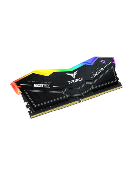 32GB (2x16GB) DELTA RGB Black 6,0GHz Data Integrity Check XMP