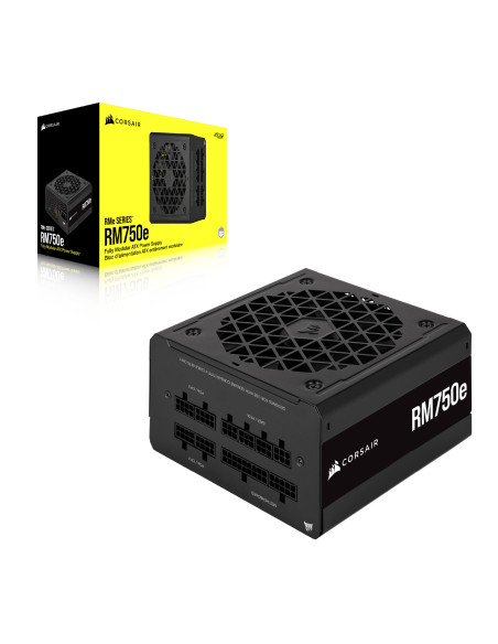 750W RM750e 80+ Gold
