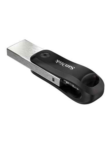 256GB iXpand  USB Type-A / Lightning 3.2 Gen 2 (3.1 Gen 2) Nero, Argento