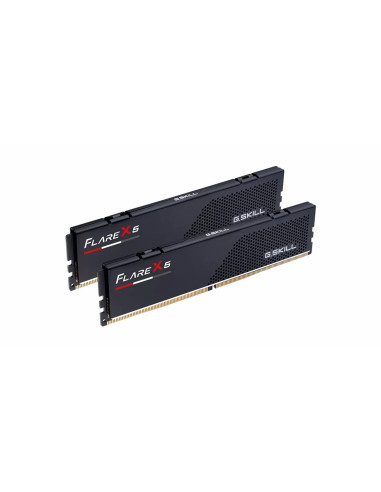 32GB (2x16GB) Flare X5 6,0GHz Dual-channel