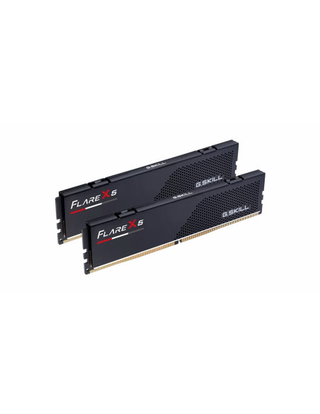 32GB (2x16GB) Flare X5 6,0GHz Dual-channel