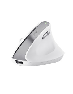Bayo II mouse Office Right-hand RF Wireless Optical 2400 DPI