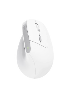 Bayo II mouse Office Right-hand RF Wireless Optical 2400 DPI 2
