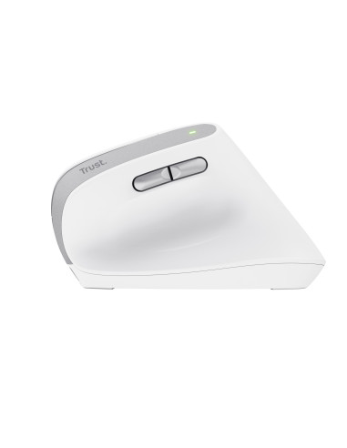 Bayo II mouse Office Right-hand RF Wireless Optical 2400 DPI