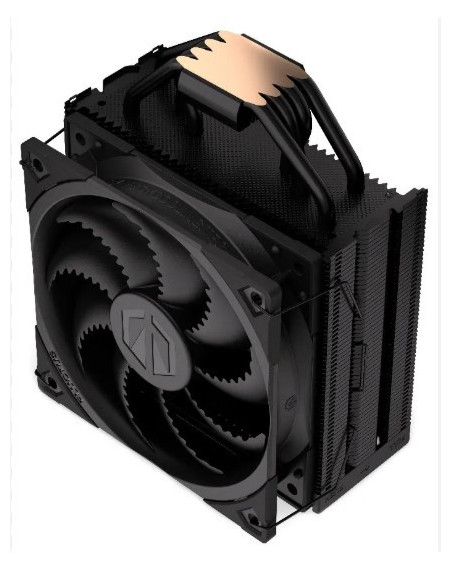 Fera 5 Black