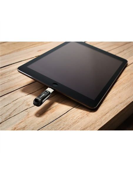 256GB iXpand  USB Type-A / Lightning 3.2 Gen 2 (3.1 Gen 2) Nero, Argento