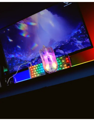 DM330 Transparent Gaming Mouse, RGB Wired, 10000DPI