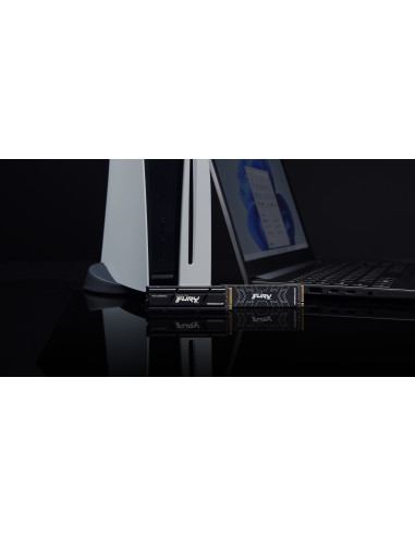 1TB FURY Renegade PCIe 4.0 NVMe 7,3GB/s 6GB/s