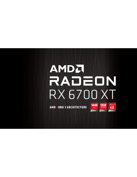 12GB Radeon RX 6700 XT HellHound