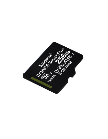 256GB Micro SDXC Canvas Select Plus + Adapter