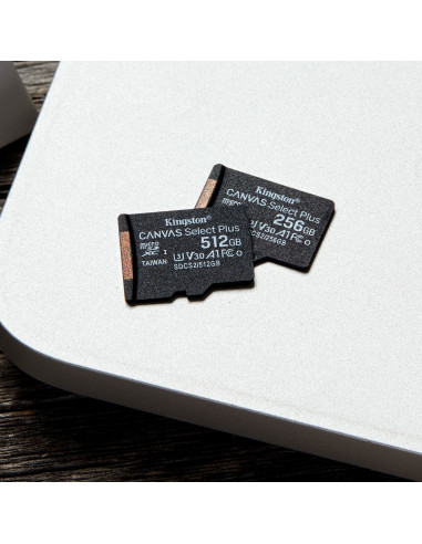 256GB Micro SDXC Canvas Select Plus + Adapter