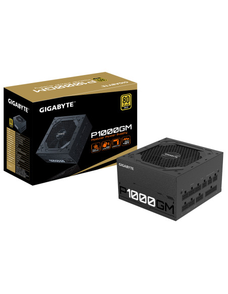 1000W P1000GM Modulare 80+ Gold