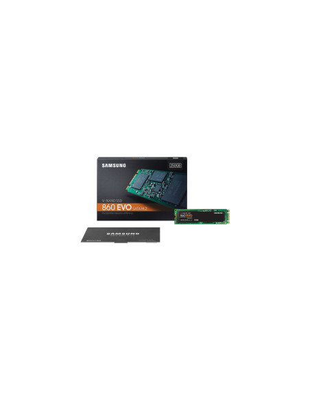 250GB 860 EVO SATA