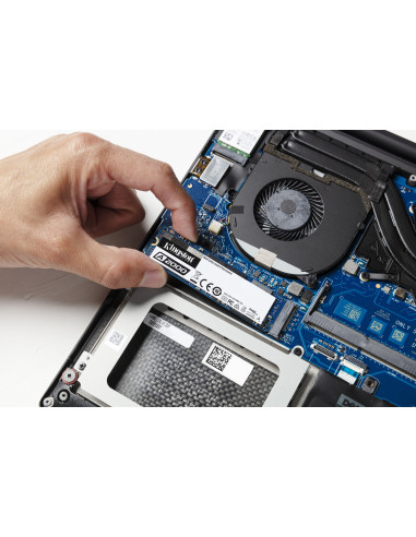 250GB - NVMe PCIe