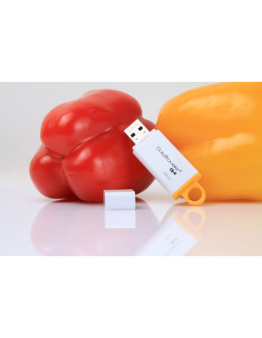 8GB - DataTraveler G4