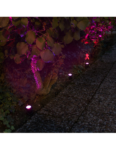 Waterproof Solar Garden LED Light