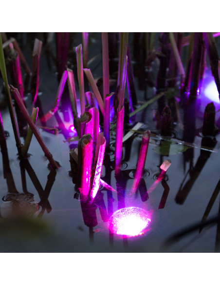 Waterproof Solar Garden LED Light
