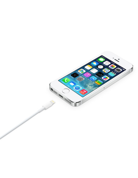 2,00 mt Cavo Apple Lightning / USB