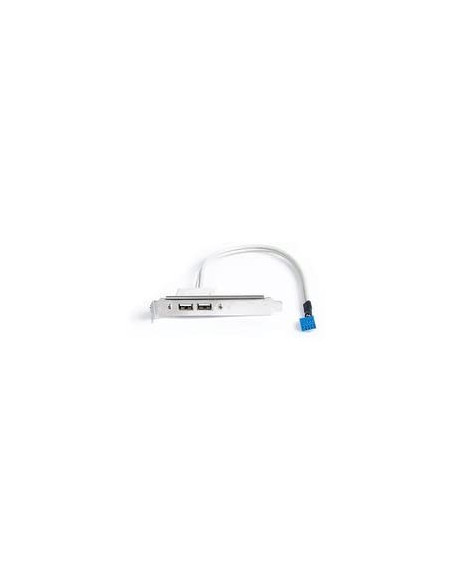 2-Port Desktop 2.0 USB Port 9-Pin Cable