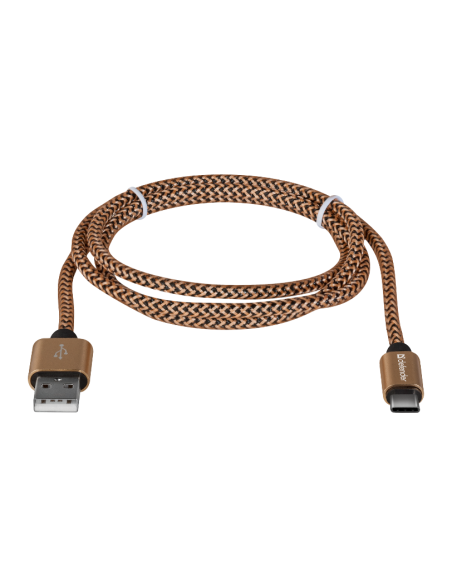 1,00 mt USB - USB-C ORO
