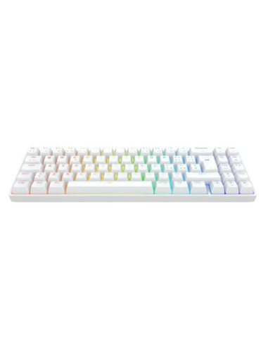 Calibur V2 TE Wired Red Switch White